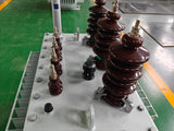 Oil immersed  transformers