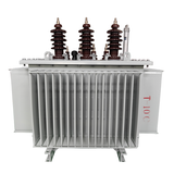 Oil immersed  transformers